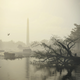 THE DIVISION 2